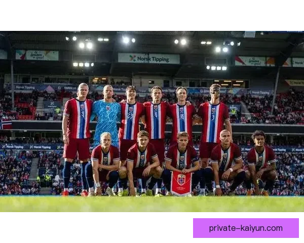 斯洛伐克队新款蓝白战袍正式发布，彰显团队精神与国家荣光，备受期待