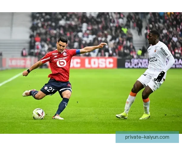 欧洲杯法国队阵容完整分析，核心球员表现稳健引发期待